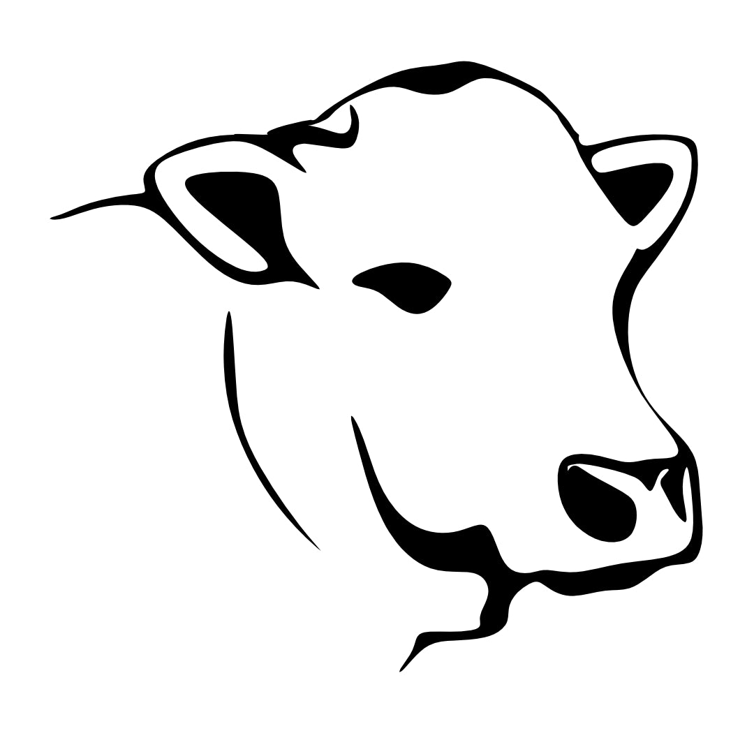 Cattle