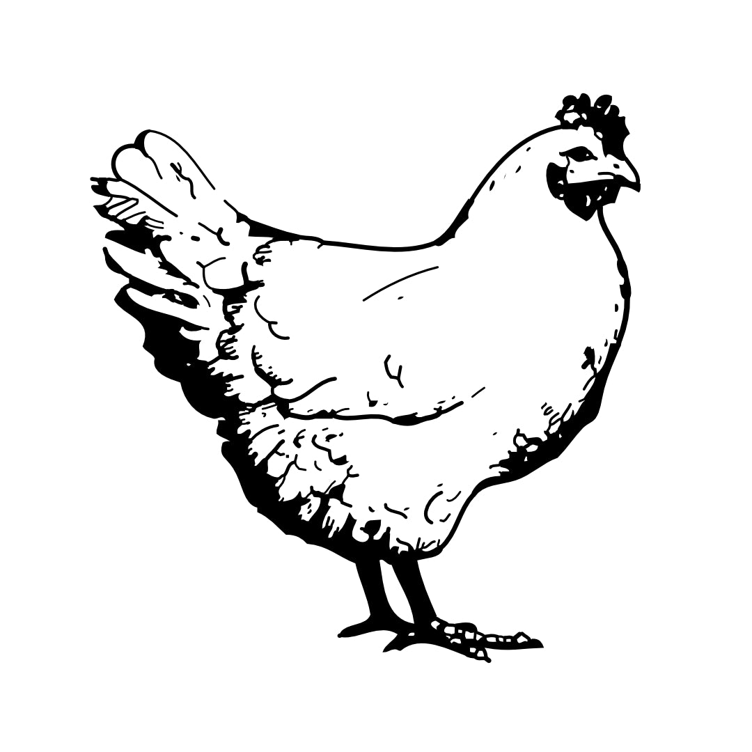 Chickens