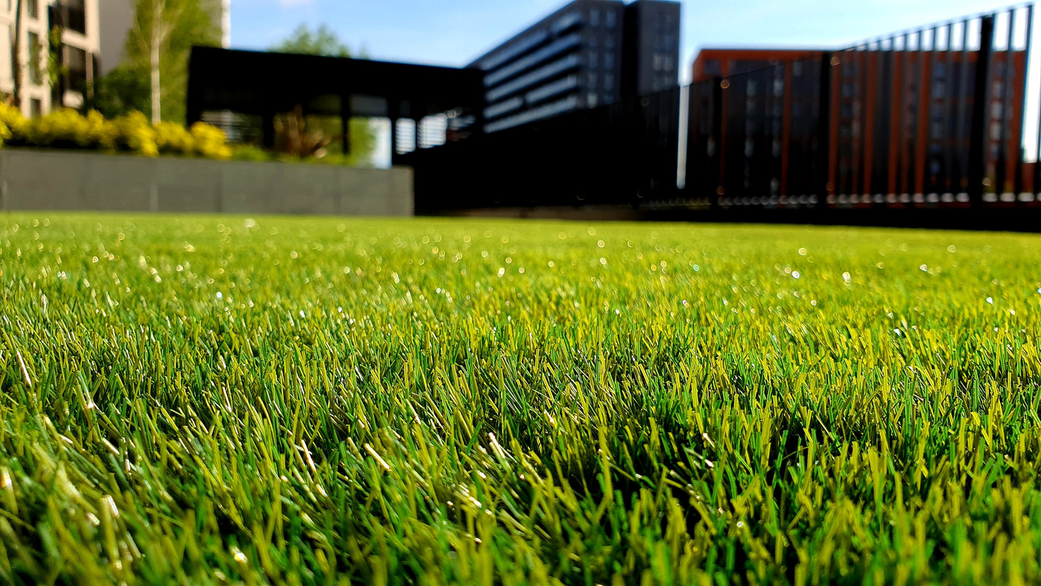 Lawn and Garden