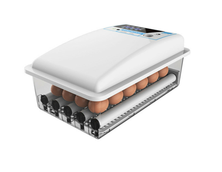 Auto Egg Incubator