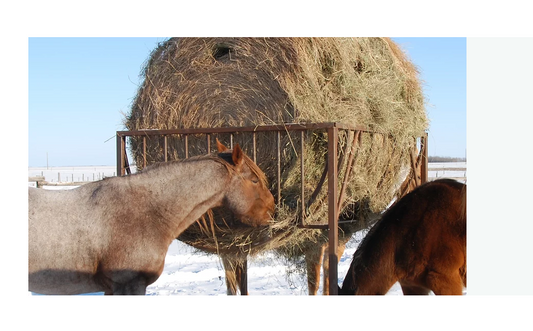 Horse Haysaver