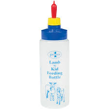 Lamb Bottle 16oz With Screw On Teat